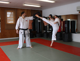 Adult Martial Arts Classes